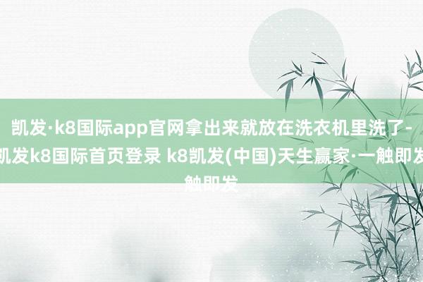 凱發·k8國際app官網拿出來就放在洗衣機里洗了-凱發k8國際首頁登錄 k8凱發(中國)天生贏家·一觸即發