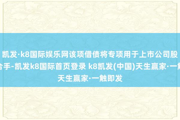 凱發·k8國際娛樂網該項借債將專項用于上市公司股票增合手-凱發k8國際首頁登錄 k8凱發(中國)天生贏家·一觸即發