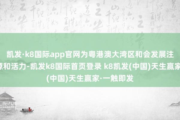 凱發·k8國際app官網為粵港澳大灣區和會發展注入新的能源和活力-凱發k8國際首頁登錄 k8凱發(中國)天生贏家·一觸即發
