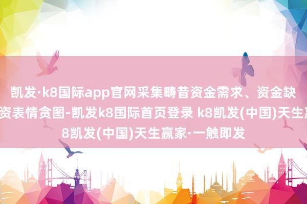 凱發(fā)·k8國際app官網(wǎng)采集疇昔資金需求、資金缺口以及具體投資表情貪圖-凱發(fā)k8國際首頁登錄 k8凱發(fā)(中國)天生贏家·一觸即發(fā)