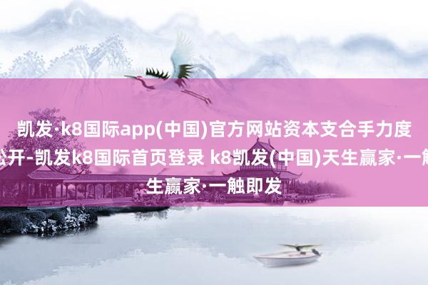凱發·k8國際app(中國)官方網站資本支合手力度抑制松開-凱發k8國際首頁登錄 k8凱發(中國)天生贏家·一觸即發